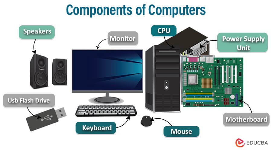 Computer components hardware different picture common module system peripherals have identified moment learn please take been