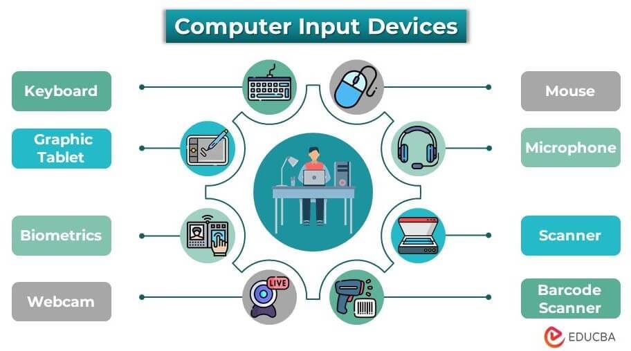 Input devices optical biometric reader