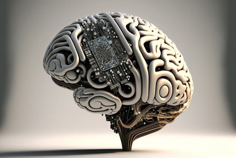 Brain interfaces rand human